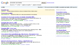 consultor seo barato